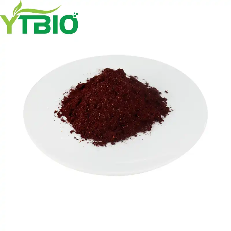 Blueberry Powder Benefits for Antioxidants and Brain Health